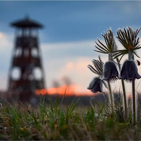 汽车旅馆 Sztar Etterem Balassagyarmat